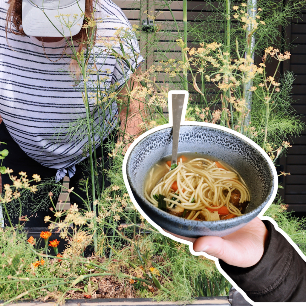 A garden bed and someone holding a bowl of vegetable noodles.