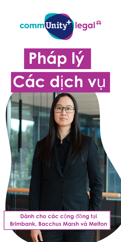 Vietnamese-Legal-brochure-cover-image